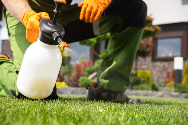 Wasp Removal Services in Glen Head, NY