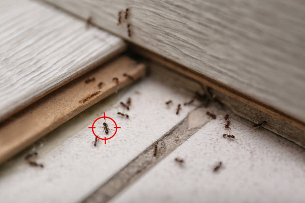Best Pest Control for Restaurants  in Glen Head, NY