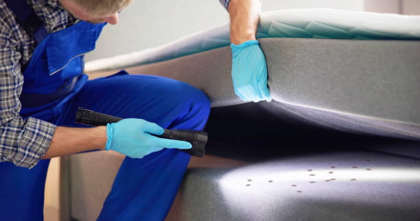 Best Residential Pest Control  in Glen Head, NY