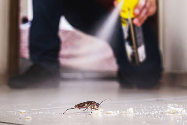Best Flea Control Services  in Glen Head, NY