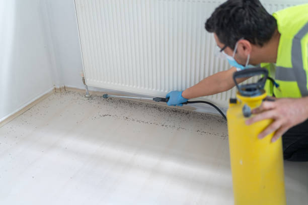 Best Best Pest Control Companies  in Glen Head, NY